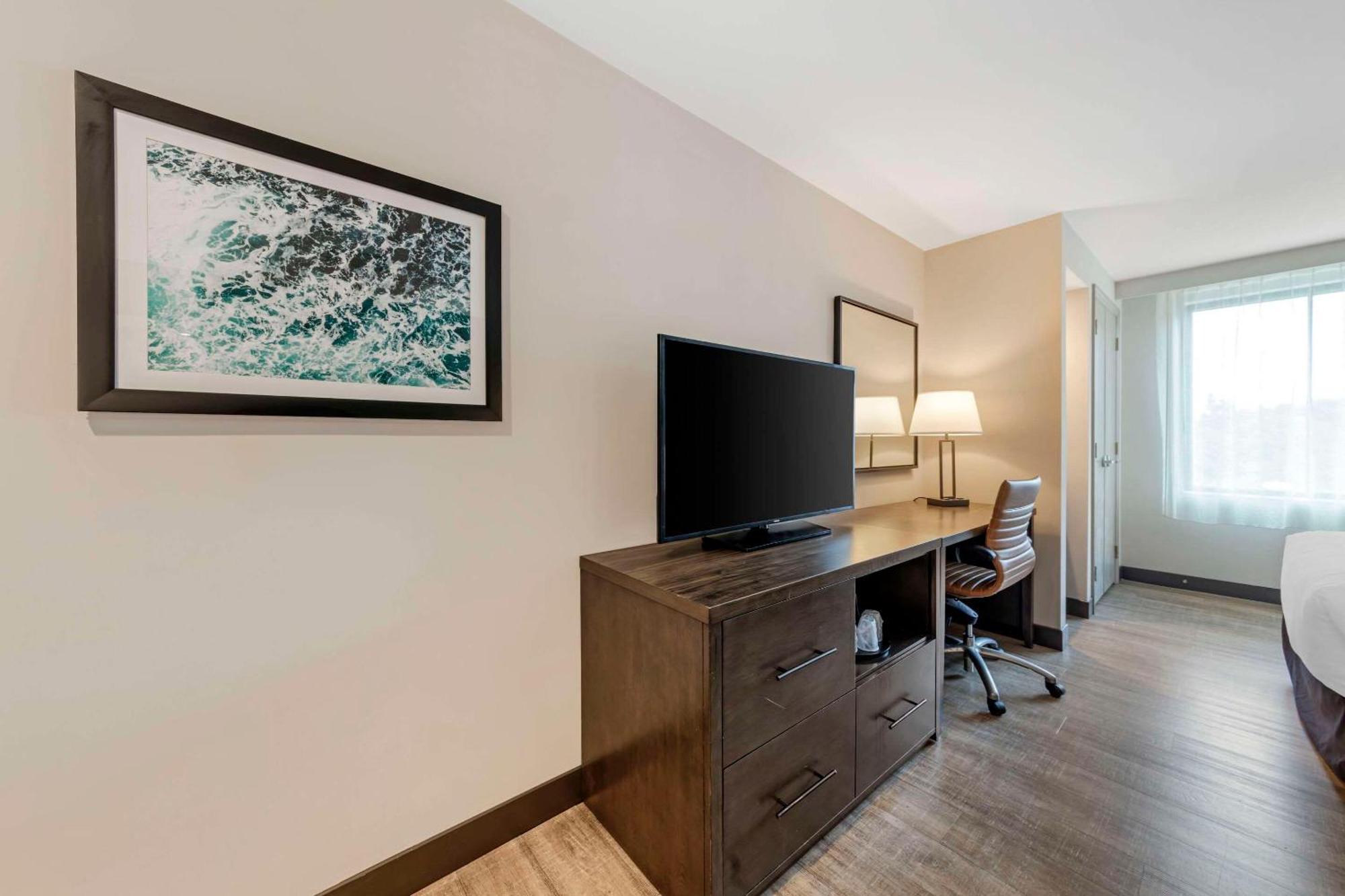 מיאמי ספרינגס Comfort Inn & Suites Miami International Airport מראה חיצוני תמונה